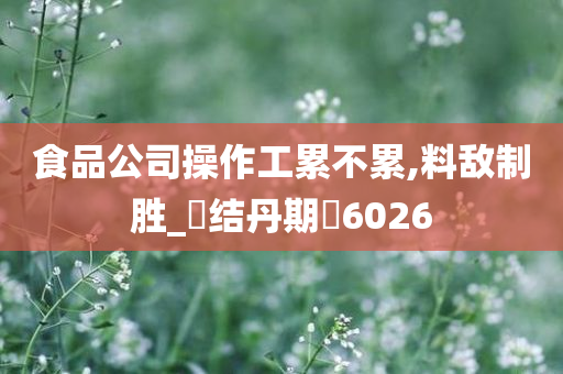 食品公司操作工累不累,料敌制胜_‌结丹期‌6026