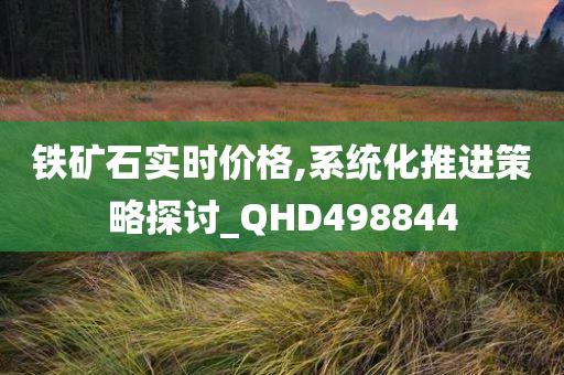 铁矿石实时价格,系统化推进策略探讨_QHD498844