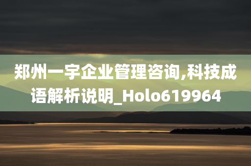 郑州一宇企业管理咨询,科技成语解析说明_Holo619964