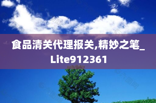 食品清关代理报关,精妙之笔_Lite912361