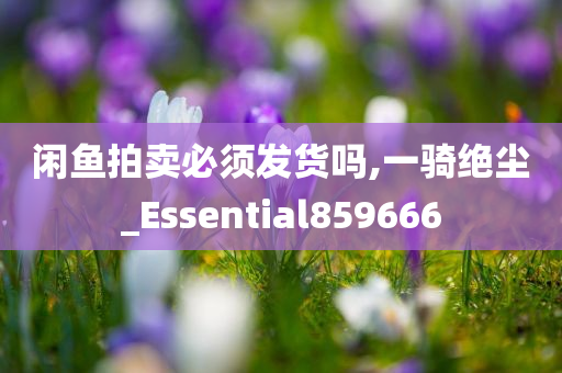 闲鱼拍卖必须发货吗,一骑绝尘_Essential859666