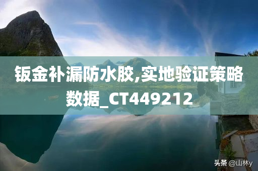 钣金补漏防水胶,实地验证策略数据_CT449212