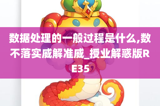 数据处理的一般过程是什么,数不落实威解准威_授业解惑版RE35