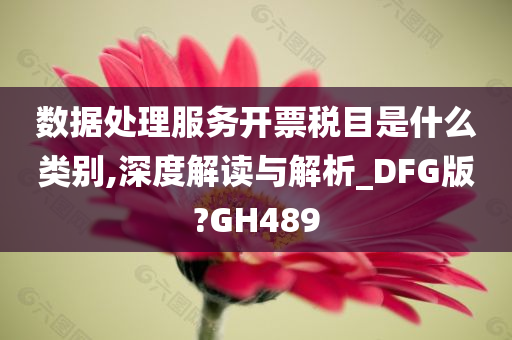 数据处理服务开票税目是什么类别,深度解读与解析_DFG版?GH489