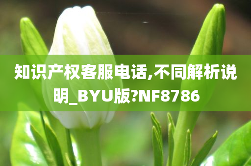 知识产权客服电话,不同解析说明_BYU版?NF8786