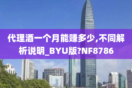 代理酒一个月能赚多少,不同解析说明_BYU版?NF8786