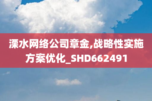 溧水网络公司章金,战略性实施方案优化_SHD662491