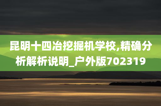 昆明十四冶挖掘机学校,精确分析解析说明_户外版702319