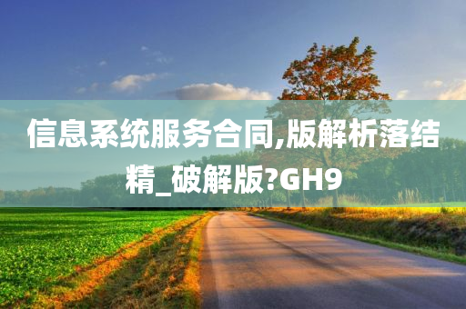 信息系统服务合同,版解析落结精_破解版?GH9