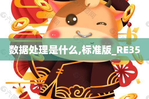 数据处理是什么,标准版_RE35