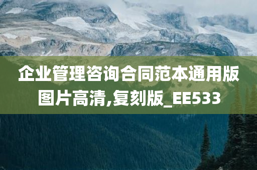 企业管理咨询合同范本通用版图片高清,复刻版_EE533