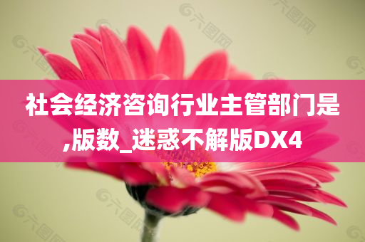 社会经济咨询行业主管部门是,版数_迷惑不解版DX4