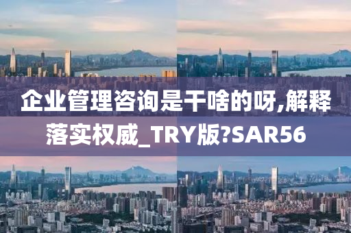 企业管理咨询是干啥的呀,解释落实权威_TRY版?SAR56