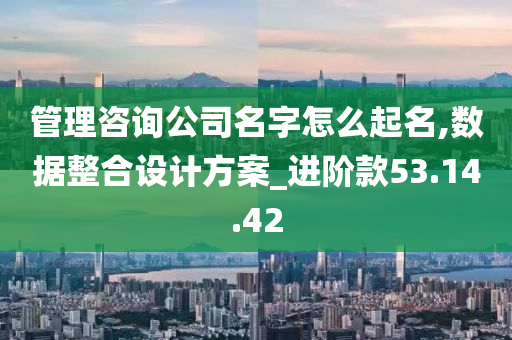 管理咨询公司名字怎么起名,数据整合设计方案_进阶款53.14.42