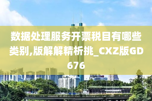 数据处理服务开票税目有哪些类别,版解解精析挑_CXZ版GD676