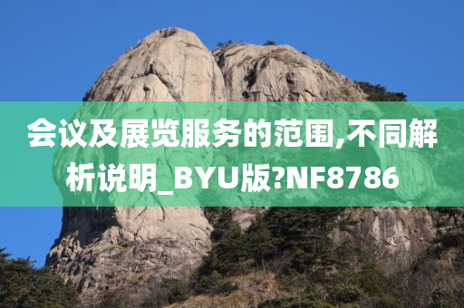 会议及展览服务的范围,不同解析说明_BYU版?NF8786