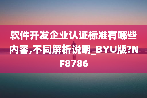 软件开发企业认证标准有哪些内容,不同解析说明_BYU版?NF8786