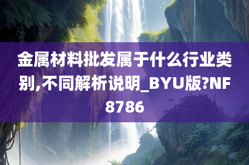 金属材料批发属于什么行业类别,不同解析说明_BYU版?NF8786