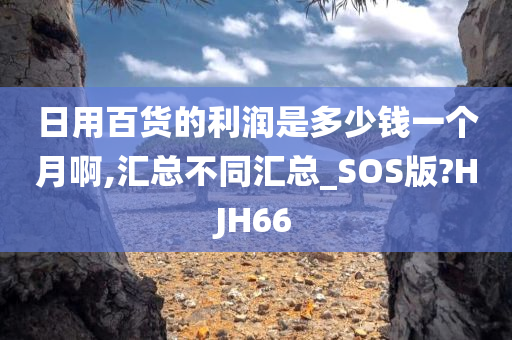 日用百货的利润是多少钱一个月啊,汇总不同汇总_SOS版?HJH66