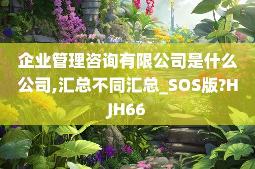 企业管理咨询有限公司是什么公司,汇总不同汇总_SOS版?HJH66