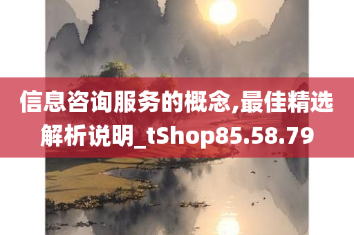 信息咨询服务的概念,最佳精选解析说明_tShop85.58.79