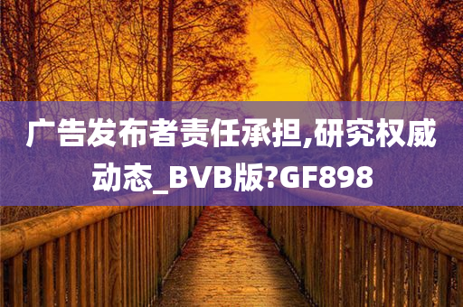 广告发布者责任承担,研究权威动态_BVB版?GF898