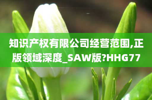 知识产权有限公司经营范围,正版领域深度_SAW版?HHG77