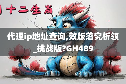 代理ip地址查询,效版落究析领_挑战版?GH489