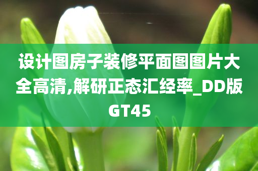 设计图房子装修平面图图片大全高清,解研正态汇经率_DD版GT45