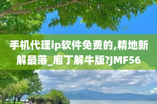 手机代理ip软件免费的,精地新解最落_庖丁解牛版?JMF56