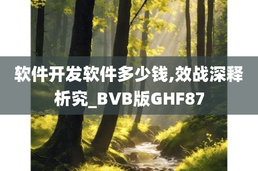 软件开发软件多少钱,效战深释析究_BVB版GHF87