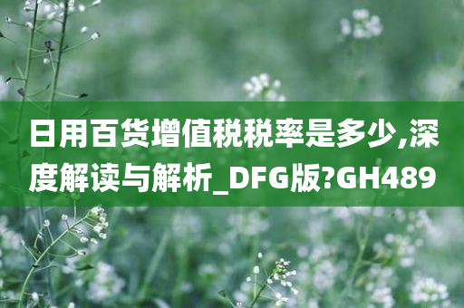 日用百货增值税税率是多少,深度解读与解析_DFG版?GH489