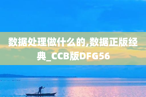 数据处理做什么的,数据正版经典_CCB版DFG56