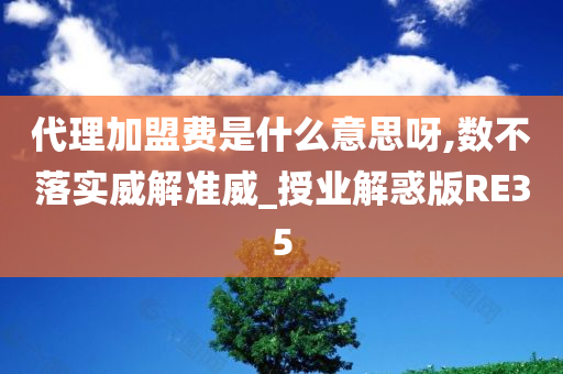 代理加盟费是什么意思呀,数不落实威解准威_授业解惑版RE35