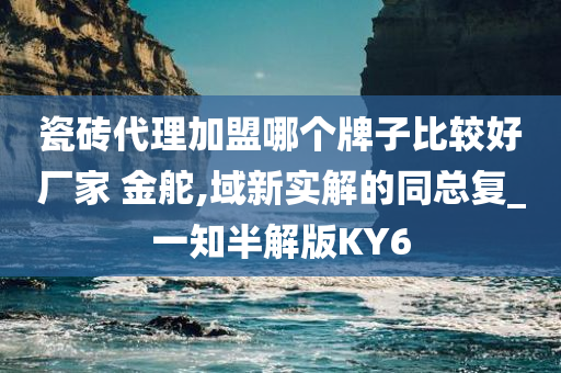 瓷砖代理加盟哪个牌子比较好厂家 金舵,域新实解的同总复_一知半解版KY6