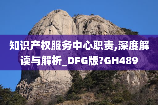 知识产权服务中心职责,深度解读与解析_DFG版?GH489