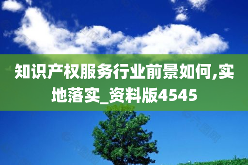 知识产权服务行业前景如何,实地落实_资料版4545