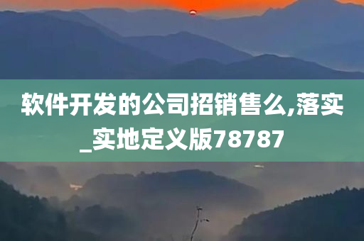 软件开发的公司招销售么,落实_实地定义版78787