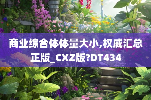 商业综合体体量大小,权威汇总正版_CXZ版?DT434