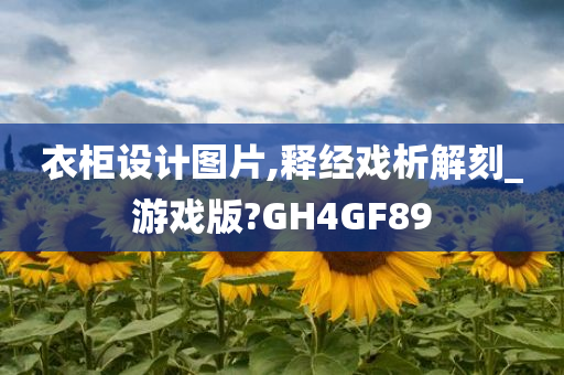 衣柜设计图片,释经戏析解刻_游戏版?GH4GF89