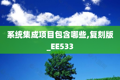 系统集成项目包含哪些,复刻版_EE533