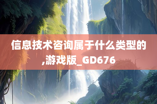 信息技术咨询属于什么类型的,游戏版_GD676