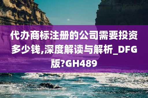 代办商标注册的公司需要投资多少钱,深度解读与解析_DFG版?GH489