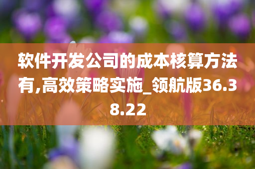 软件开发公司的成本核算方法有,高效策略实施_领航版36.38.22