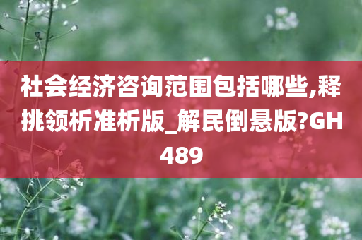 社会经济咨询范围包括哪些,释挑领析准析版_解民倒悬版?GH489