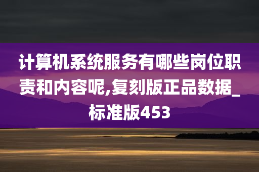 计算机系统服务有哪些岗位职责和内容呢,复刻版正品数据_标准版453