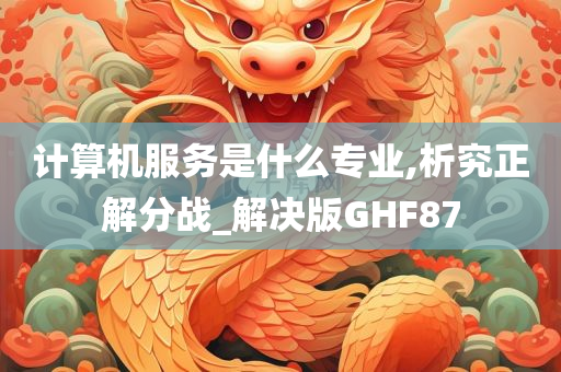 计算机服务是什么专业,析究正解分战_解决版GHF87