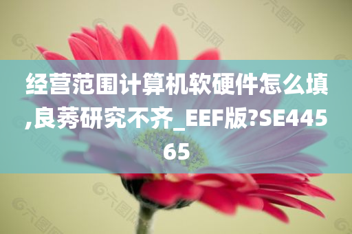 经营范围计算机软硬件怎么填,良莠研究不齐_EEF版?SE44565