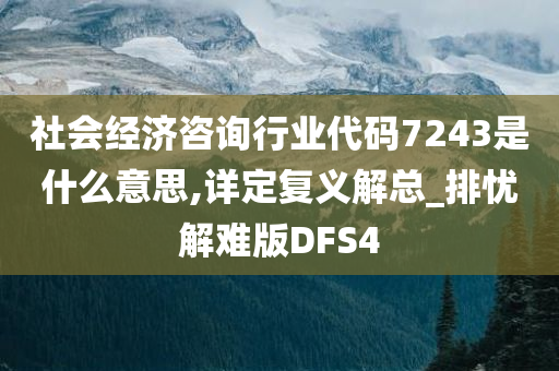 社会经济咨询行业代码7243是什么意思,详定复义解总_排忧解难版DFS4