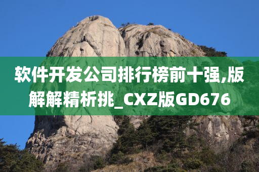 软件开发公司排行榜前十强,版解解精析挑_CXZ版GD676